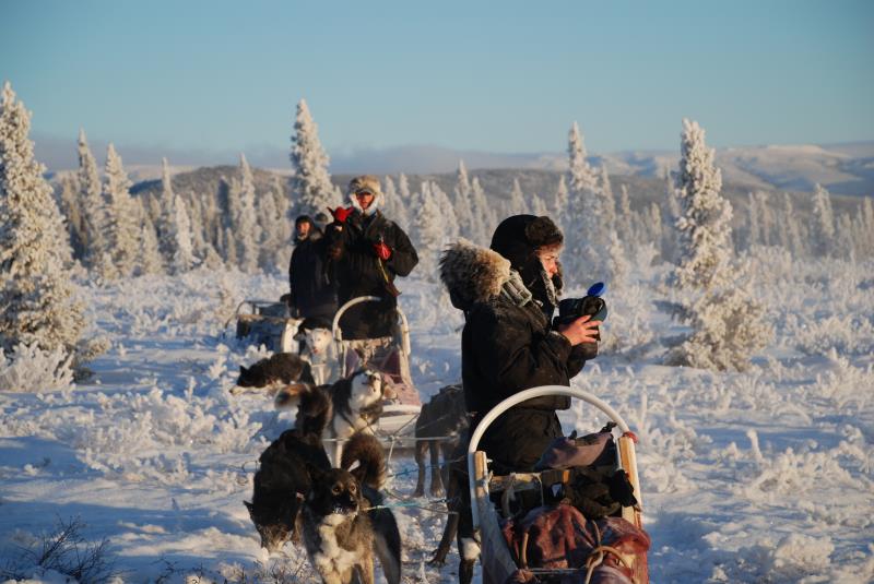 Denali Dog Sled Expeditions at EarthSong Lodge