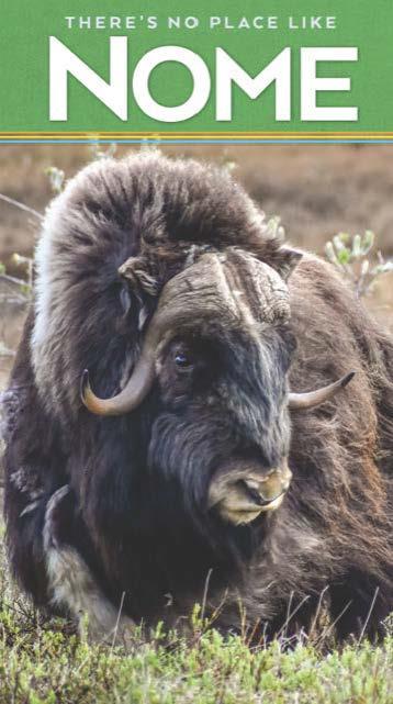 Nome Convention and Visitor's Bureau